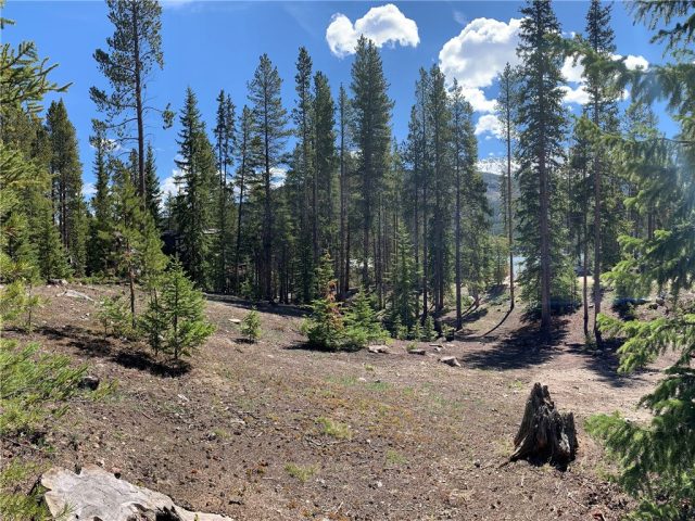 Land in Crown Sub, Breckenridge, CO — photo 1 (MLS S1012732)