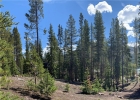 0028 Lodestone Trail photo 1