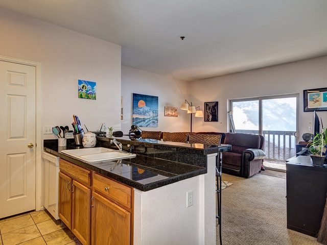Condo in Skypark Business Center Condo, Breckenridge, CO — photo 1 (MLS S1012733)