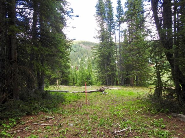 Land in Mcdill Placer Sub, Breckenridge, CO — photo 1 (MLS S1013422)