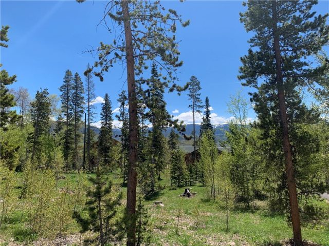 Land in Cortina Sub, Silverthorne, CO — photo 1 (MLS S1013841)