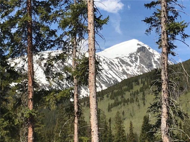 Land in Timber Creek Estates, Breckenridge, CO — photo 1 (MLS S1013885)