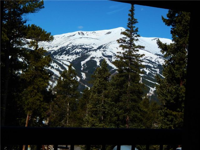 Timeshare in Gold Point Condo, Breckenridge — photo 2 Timeshare in Gold Point Condo, Breckenridge, CO — photo 2 (MLS S1013940)