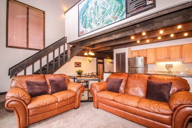 Condo in Timber Creek Condo, Copper Mountain, CO — photo 1 (MLS S1013986)