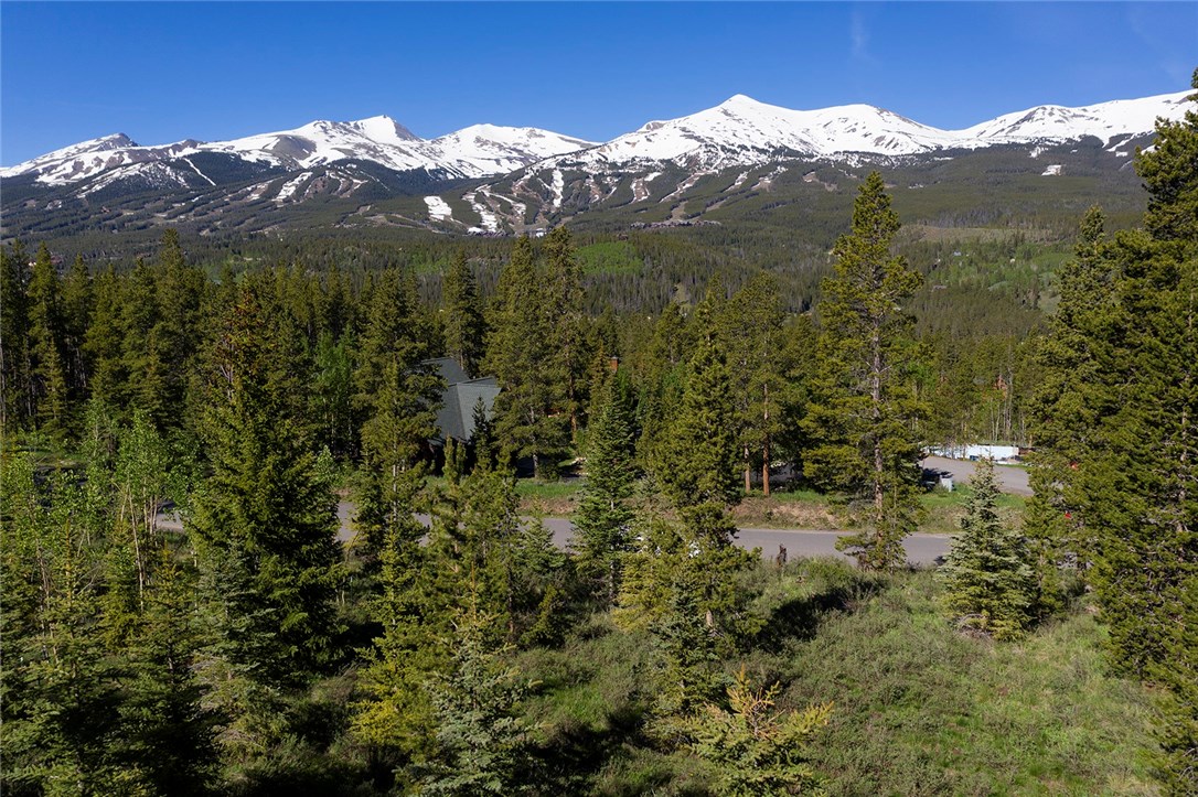 20 Rounds Road, Breckenridge, CO — main photo