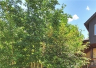 345 Kestrel Lane photo 1