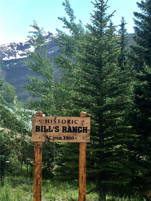 Land in Bills Ranch Sub, Frisco, CO — photo 1 (MLS S1014376)