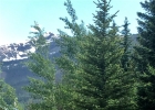 188 Miners Creek Road photo 1 188 Miners Creek Road photo 1