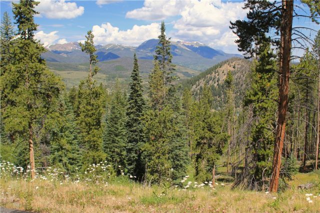 Land in Summit Estates, Breckenridge, CO — photo 1 (MLS S1014502)