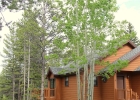 113 Park Forest Circle photo 1