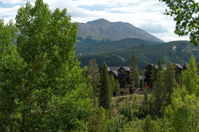 Duplex in Tyra Sub, Breckenridge, CO — photo 1 (MLS S1015113)