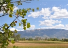 2084 Pebble Creek Road photo 1