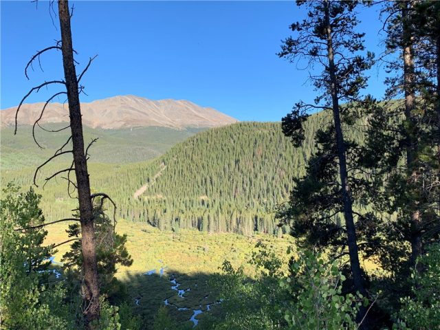 Land in Louise Placer Sub, Breckenridge, CO — photo 1 (MLS S1015378)