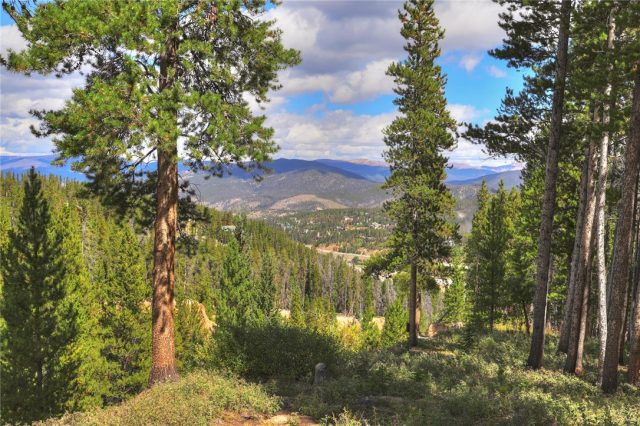 Land in Placer Acres Sub, Breckenridge, CO — photo 1 (MLS S1015423)