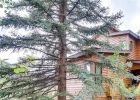 530 Tennis Club Road 1330 photo 1