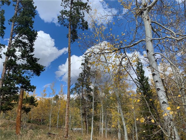 Land in Eagles Nest Sub, Silverthorne, CO — photo 1 (MLS S1015558)