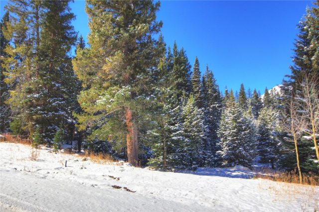 623 Cr672, Breckenridge, CO — main photo