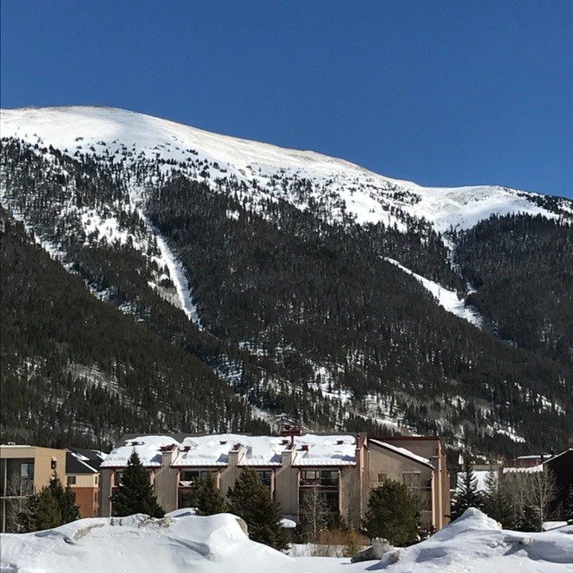 Condo in Peregrine Condo, Copper Mountain, CO — photo 1 (MLS S1015918)