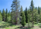 1280 Gold Run Road photo 1