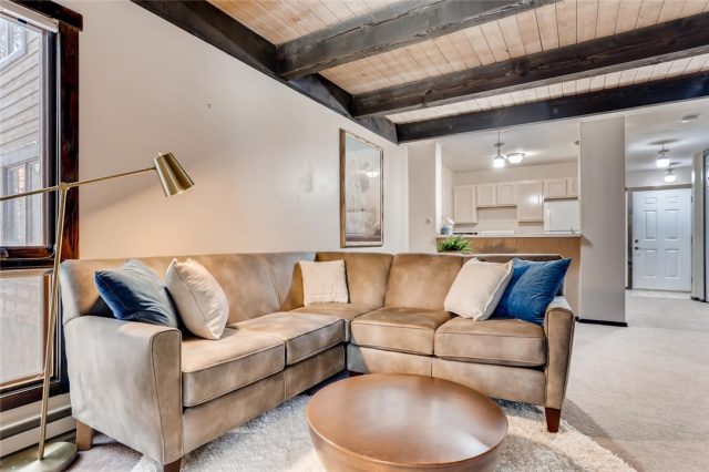 Condo in Snowdrop Condo, Breckenridge, CO — photo 1 (MLS S1017333)