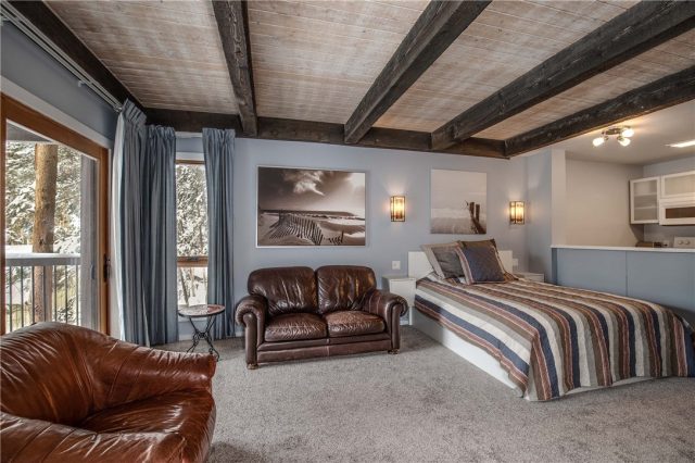 Condo in Snowdrop Condo, Breckenridge, CO — photo 1 (MLS S1017628)