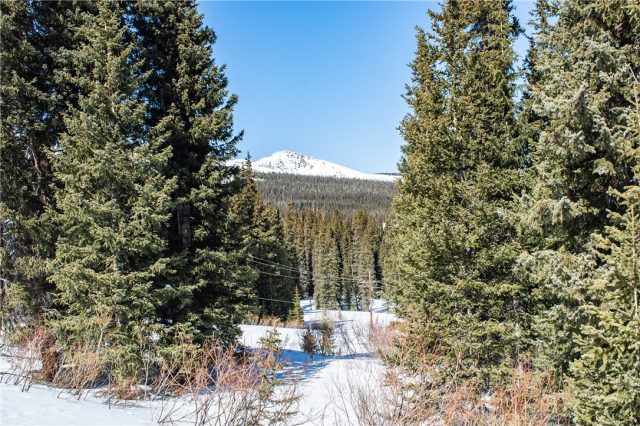 229 Scr 670, Breckenridge, CO — main photo