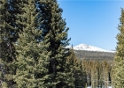 229 Scr 670 photo 1