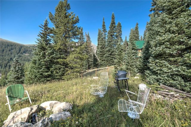 Home in Mc Callum Sub, Breckenridge, CO — photo 1 (MLS S1018019)