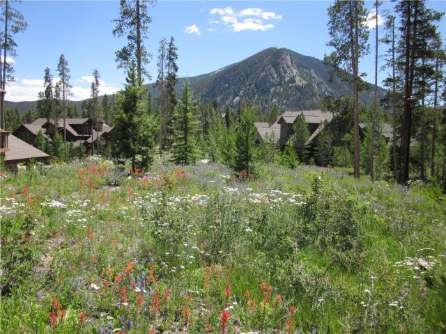 103 Rose Crown Circle, Frisco, CO — main photo