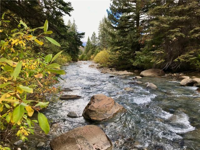 Land in Metes And Bounds - Dlnsc, Dillon, CO — photo 1 (MLS S1018526)