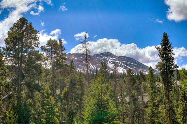 Land in Juniata Sub, Breckenridge, CO — photo 1 (MLS S1018541)