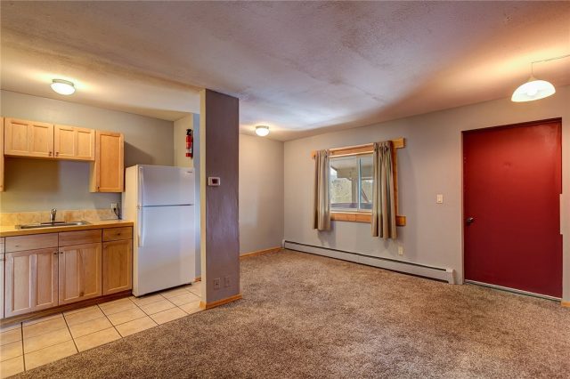 214 S Harris Street 302, Breckenridge, CO — main photo