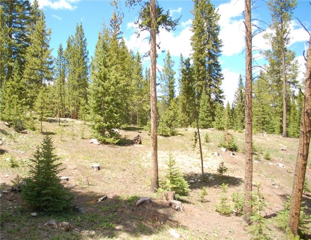 Land in Crown Sub, Blue River, CO — photo 1 (MLS S1018781)