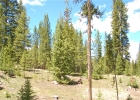 28 Lodestone Trail photo 1 28 Lodestone Trail photo 1