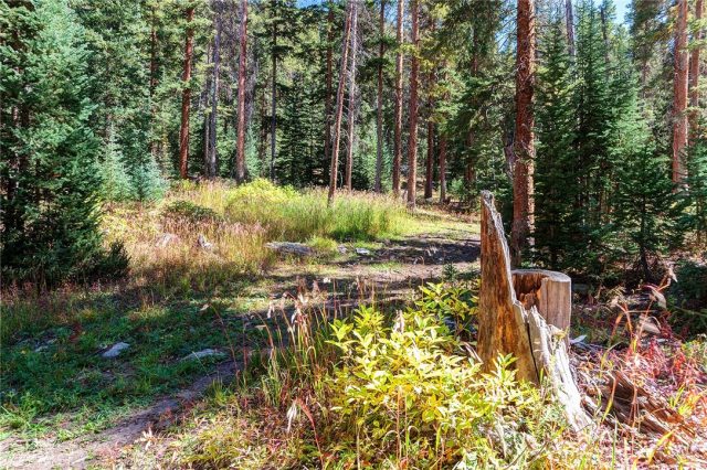 Land in Timber Creek Estates, Breckenridge, CO — photo 1 (MLS S1018898)