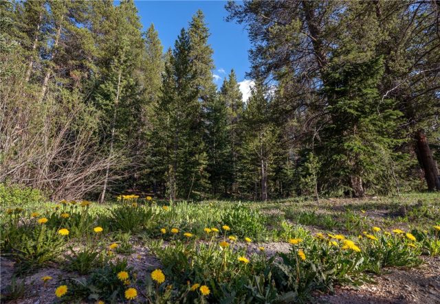 Land in Wilderness Sub, Blue River, CO — photo 1 (MLS S1018971)