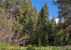 43 Wilderness Drive photo 1