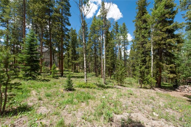 Land in Placer Acres Sub, Breckenridge, CO — photo 1 (MLS S1019097)
