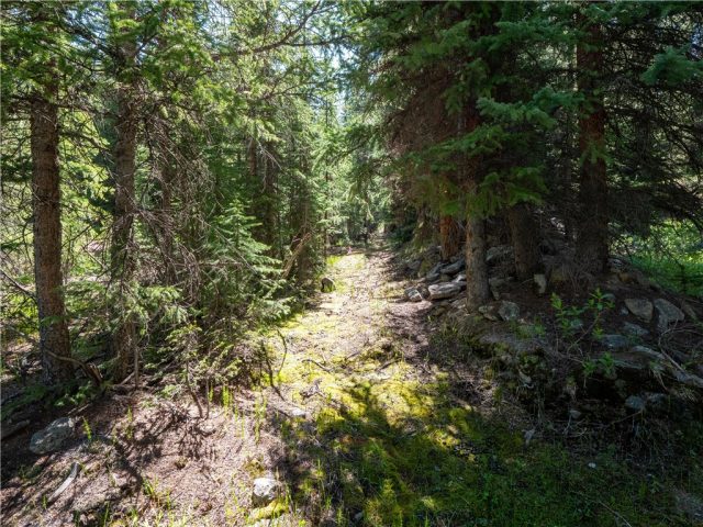 Land in Spruce Park Sub, Breckenridge, CO — photo 1 (MLS S1019144)