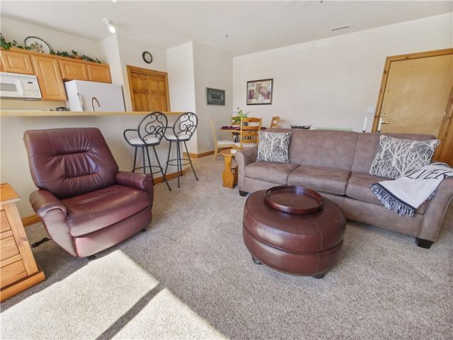 Condo in Dillon Commons Condos, Dillon, CO — photo 1 (MLS S1019415)