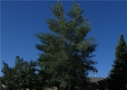 408 Cascade Circle photo 1