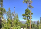 247 Green Jay Lane photo 1