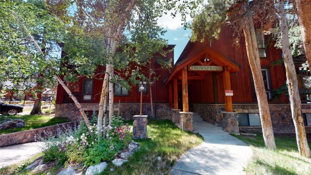 Condo in Snowspruce Condo, Breckenridge, CO — photo 1 (MLS S1019474)