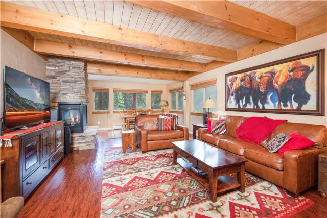 Condo in Snodallion Condo, Breckenridge, CO — photo 1 (MLS S1019543)