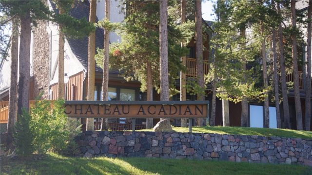 Townhome in Chateau Acadian Condo, Dillon, CO — photo 1 (MLS S1019668)