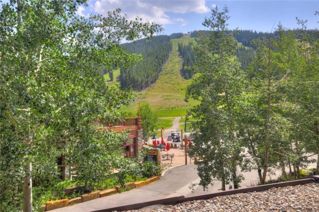 Condo in Snowflake Condo, Copper Mountain, CO — photo 1 (MLS S1020874)