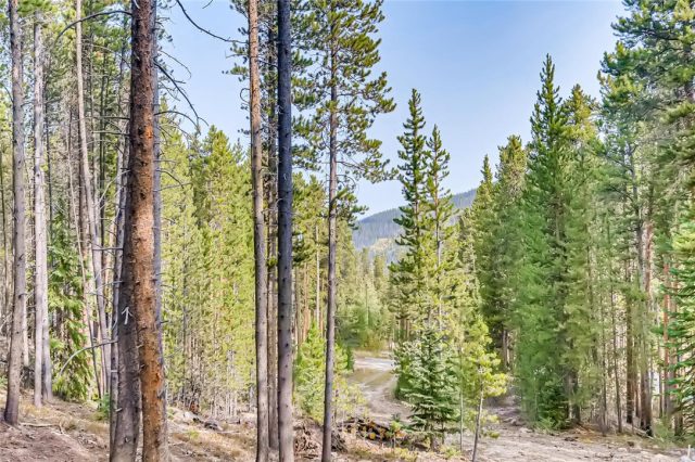 66 Apex Circle, Breckenridge, CO — main photo