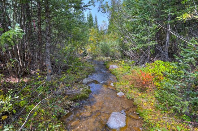 Land in Tordal Estates Sub, Breckenridge, CO — photo 1 (MLS S1022508)
