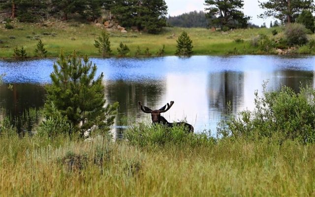 Land in Blue Rock Springs Sub, Blue River, CO — photo 1 (MLS S1022620)