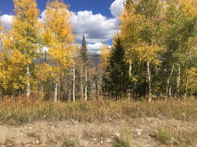 Land in Buffalo Valley At Wildernest, Silverthorne, CO — photo 1 (MLS S1022758)